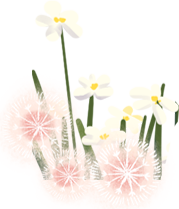 icon_1